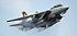 L'avatar di F14Tomcat